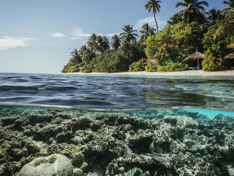 Robinson Club Maldives 228273