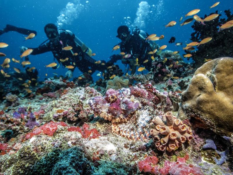 Robinson Club Noonu 325382