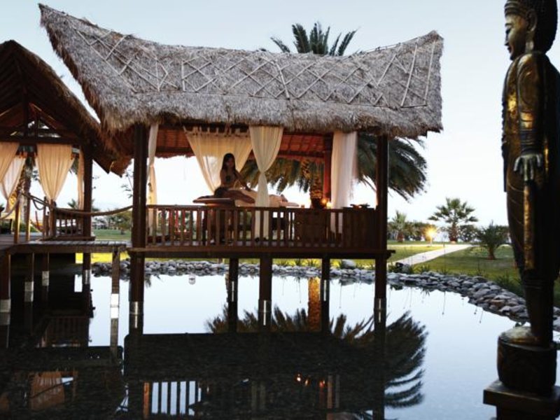 Robinson Club Sarigerme Park 100373