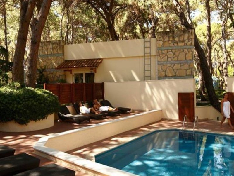 Robinson Pamfilya 100391