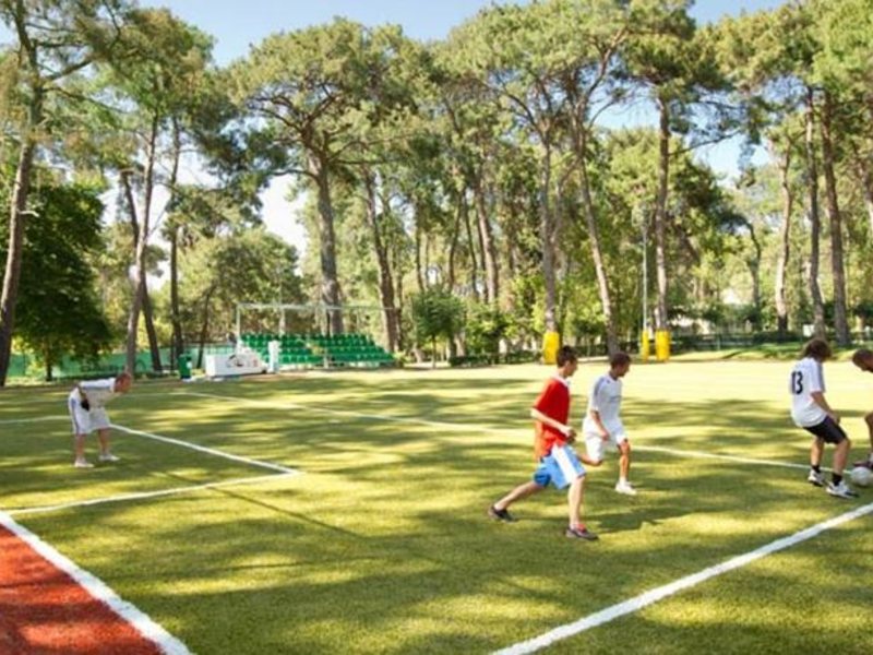 Robinson Pamfilya 100392