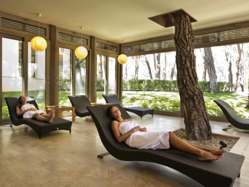 Robinson Pamfilya 100397