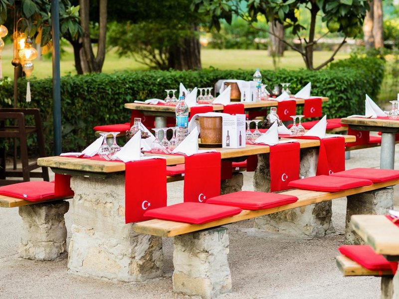 Robinson Pamfilya 296178