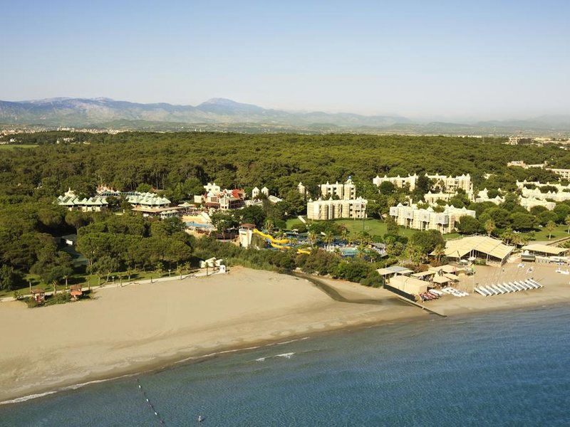 Robinson Pamfilya 296179