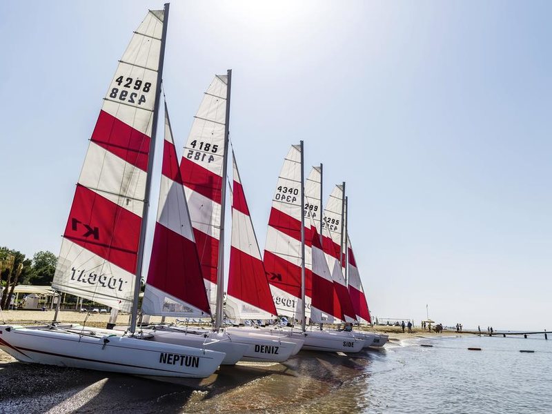 Robinson Pamfilya 296183