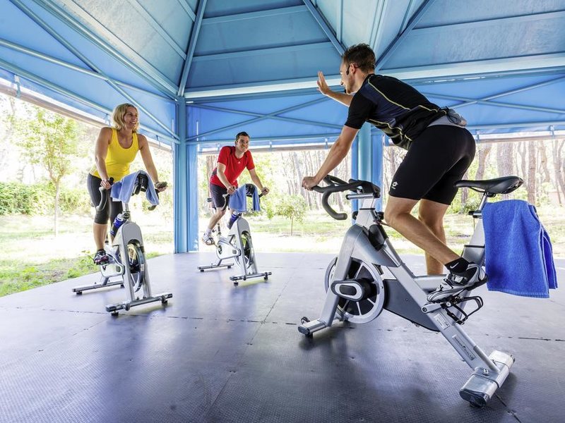 Robinson Pamfilya 296184