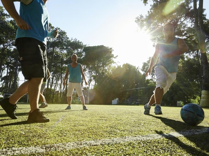 Robinson Pamfilya 296190