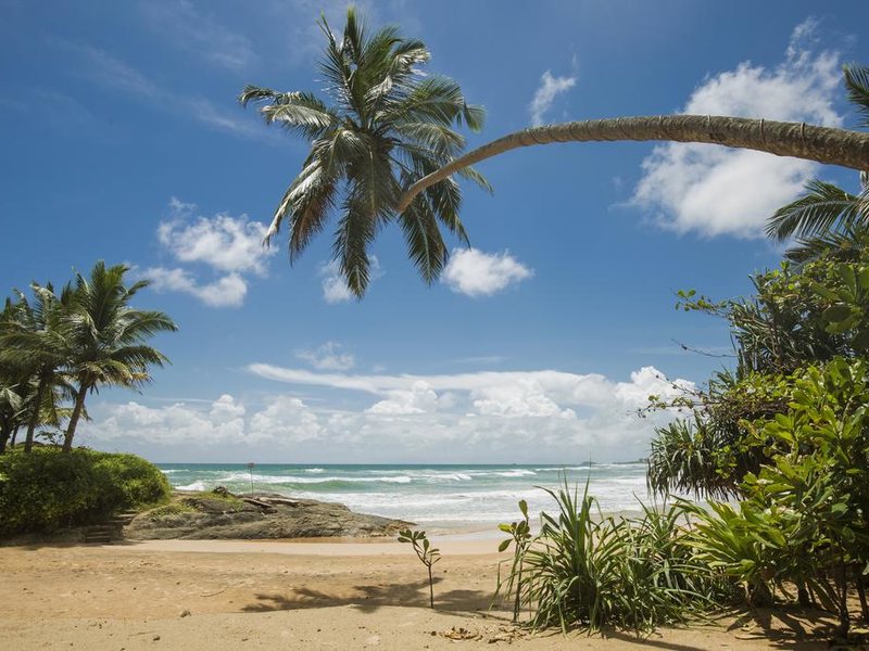 Rockside Beach Resort 108493