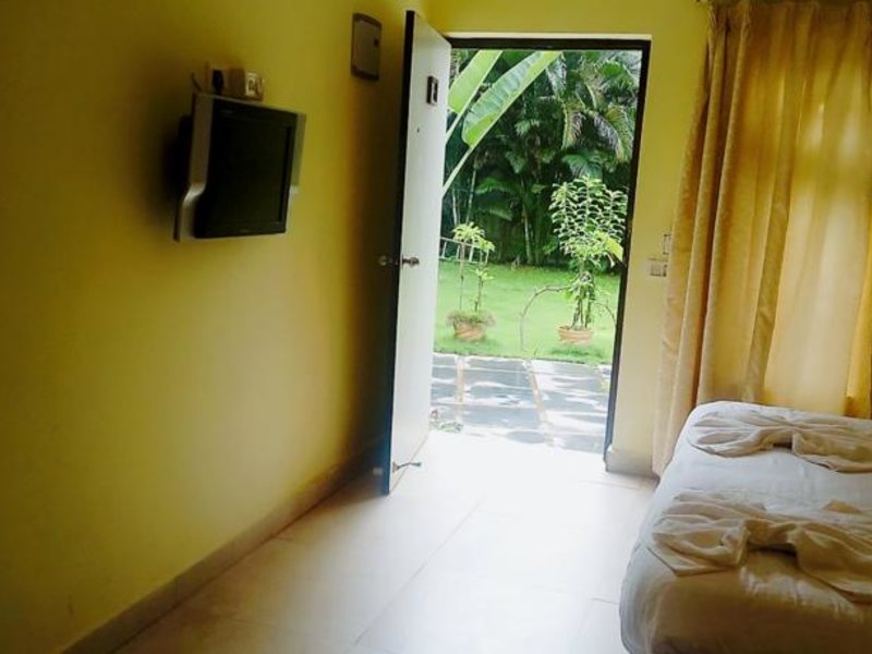 Rococco Ashvem  115417