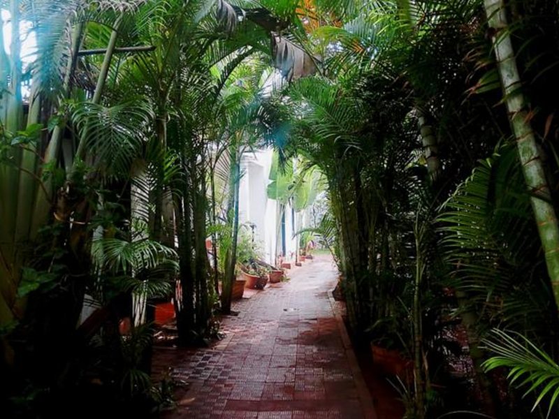 Rococco Ashvem  115421