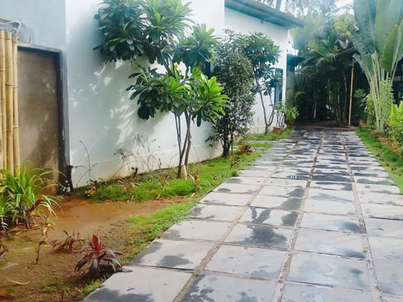 Rococco Ashvem  115422