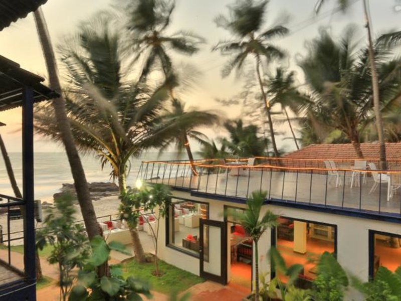 Rococco Ashvem  115425