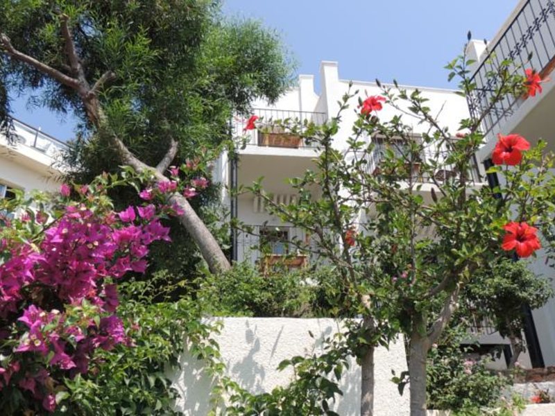 Rosso Verde Hotel 102570