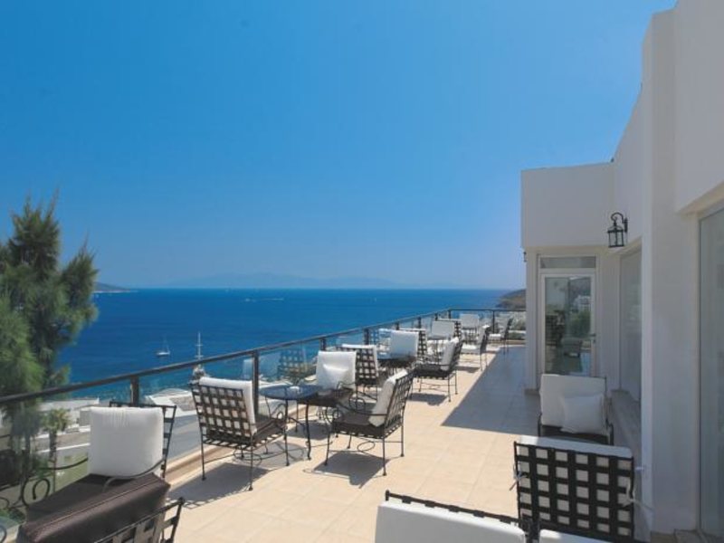 Rosso Verde Hotel 102586