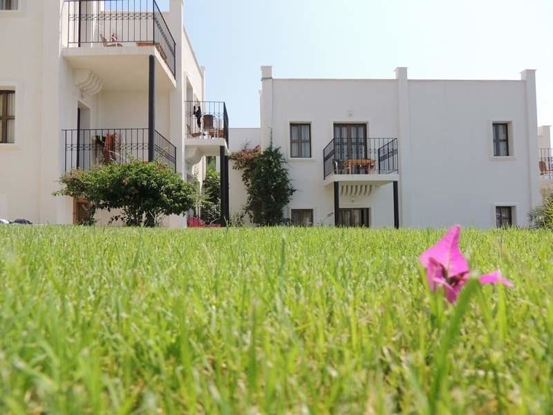 Rosso Verde Hotel 102595