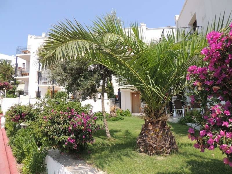 Rosso Verde Hotel 102597