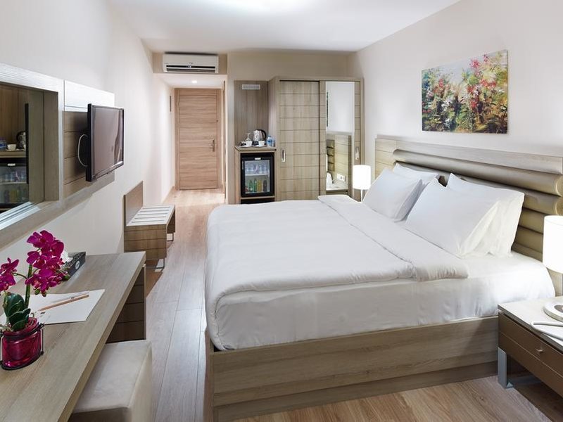 Rox Hotel Istanbul Ataturk Airport  301494