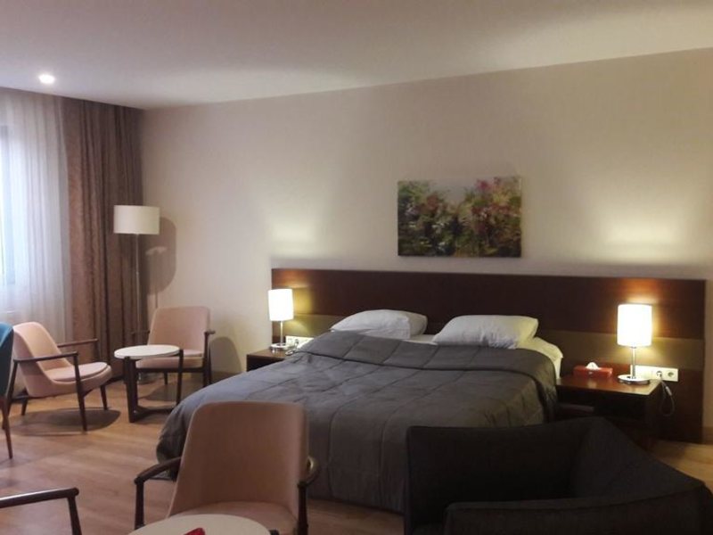 Rox Hotel Istanbul Ataturk Airport  301499