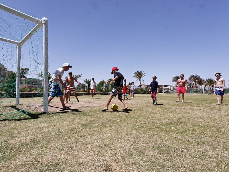 Royal Albatros Moderna 127550