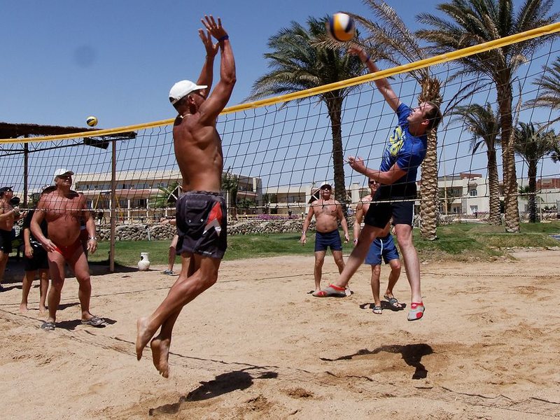 Royal Albatros Moderna 127551