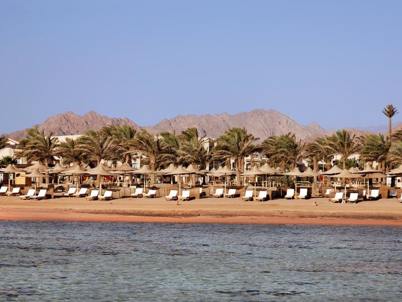 Royal Albatros Moderna 293918