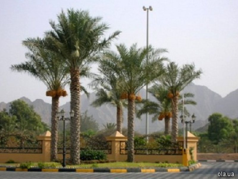 Royal Beach Fujairah 2427
