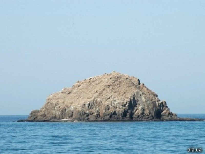 Royal Beach Fujairah 2442