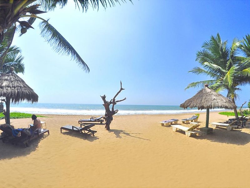 Royal Beach Resort 110600