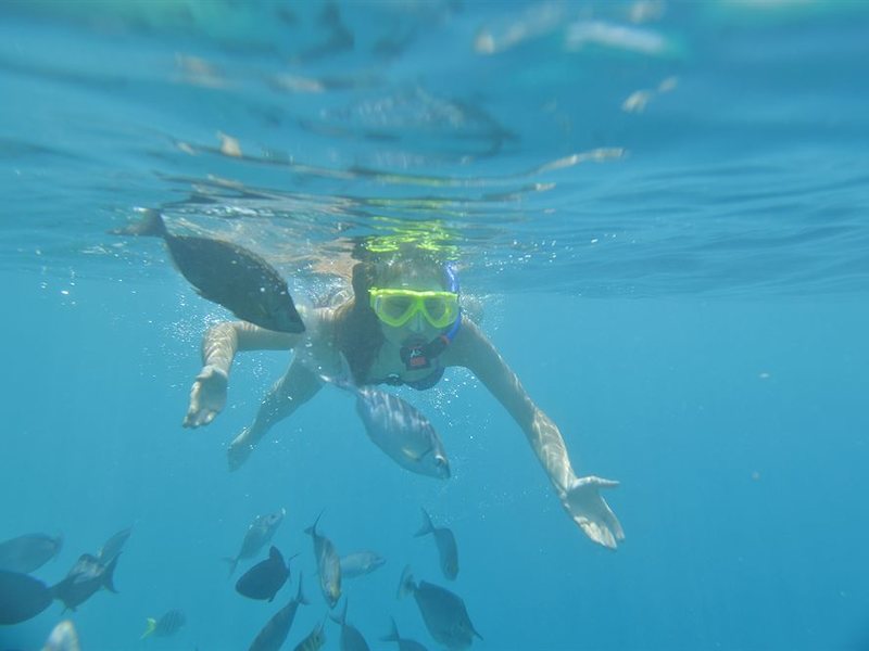 Royal Island Resort & Spa 136442