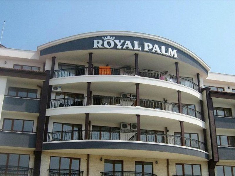 Royal Palm 168098