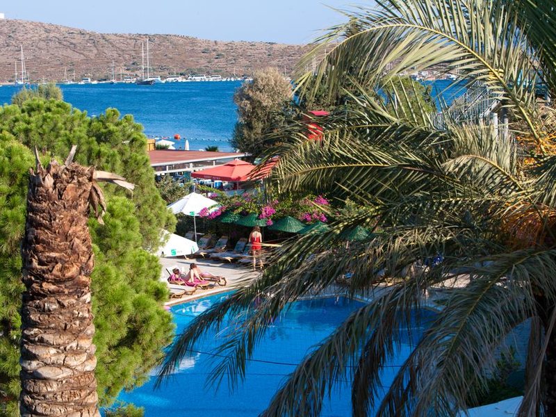 Royal Palm Beach 197118