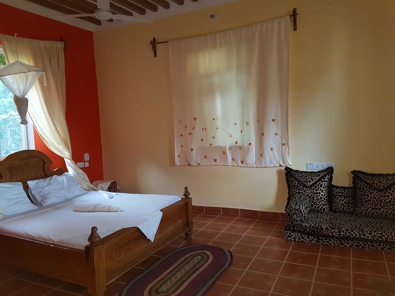 Royal Palm Kendwa 322790