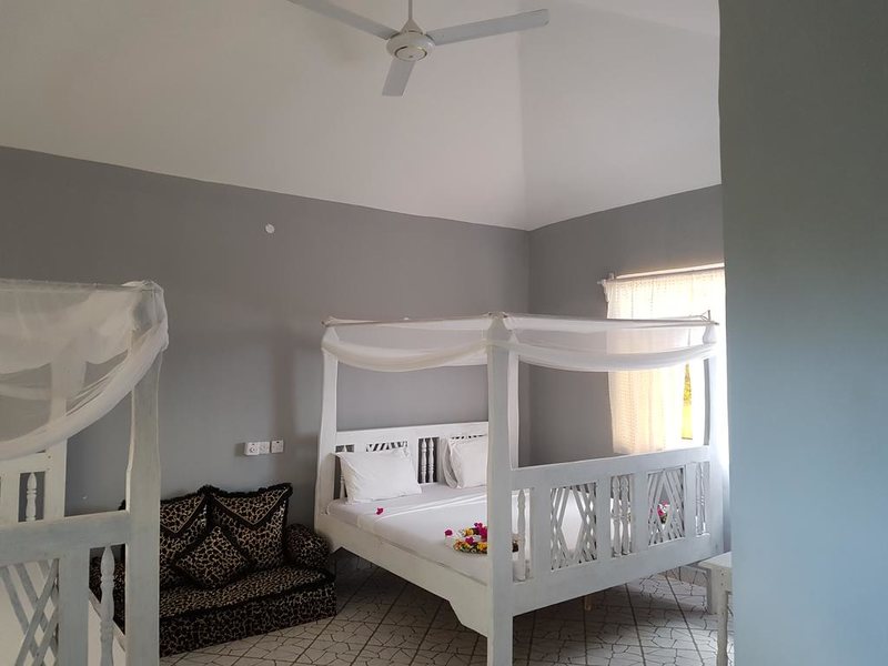 Royal Palm Kendwa 322791