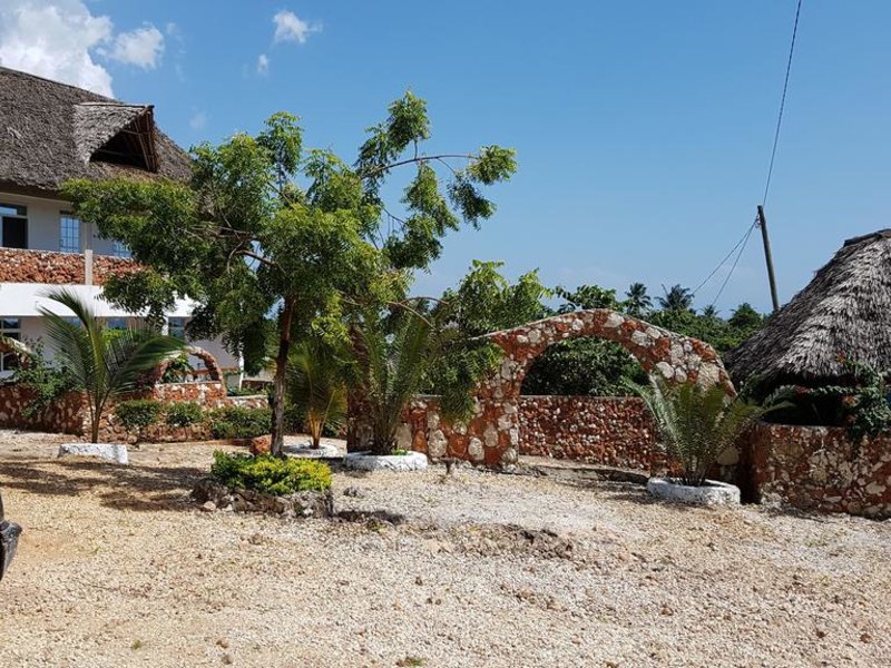 Royal Palm Kendwa 322794