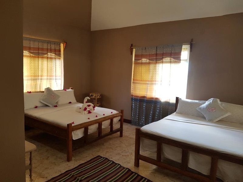 Royal Palm Kendwa 322795