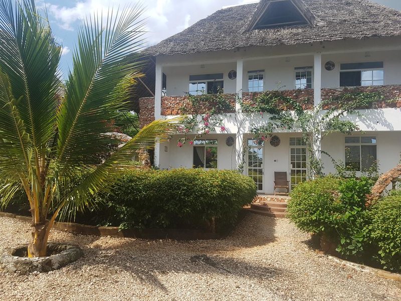 Royal Palm Kendwa 322798