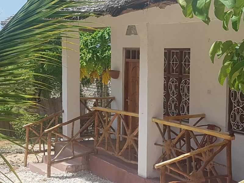 Royal Palm Kendwa 322799