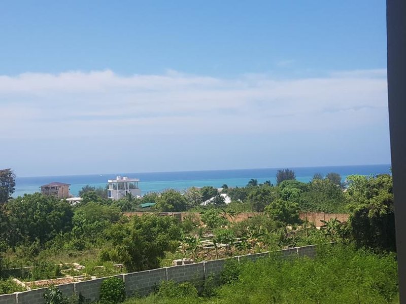 Royal Palm Kendwa 322800