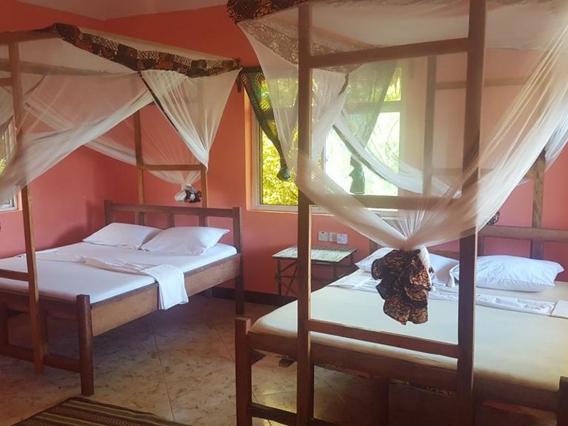 Royal Palm Kendwa 322801