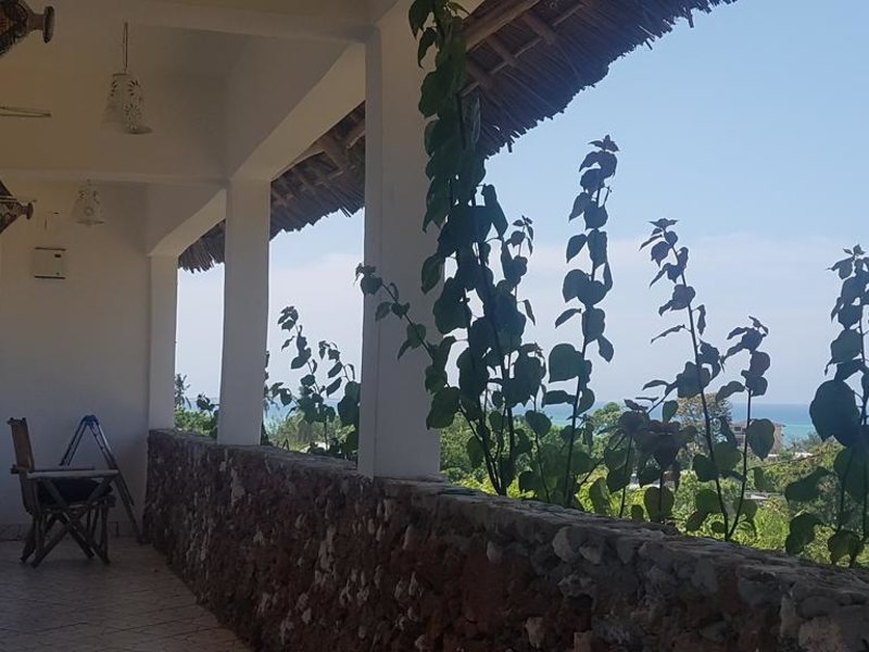 Royal Palm Kendwa 322802