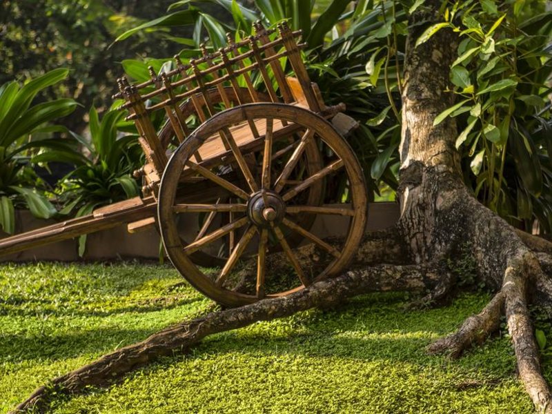 Royal Palms Beach Hotel 111778