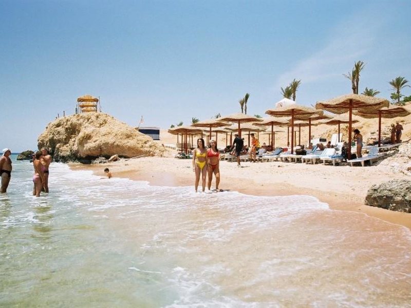 Royal Paradise Resort  33382