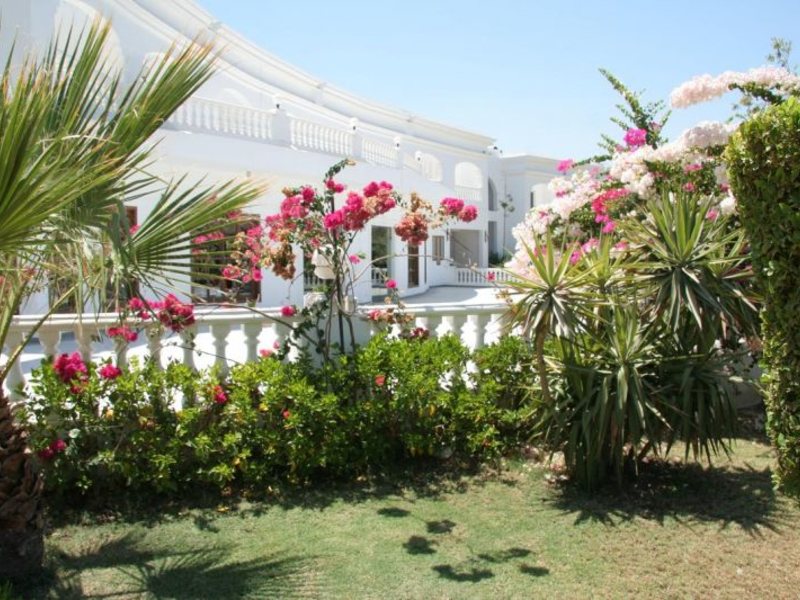 Royal Paradise Resort  33409