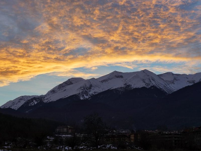 Royal Park & Spa Apt 238907