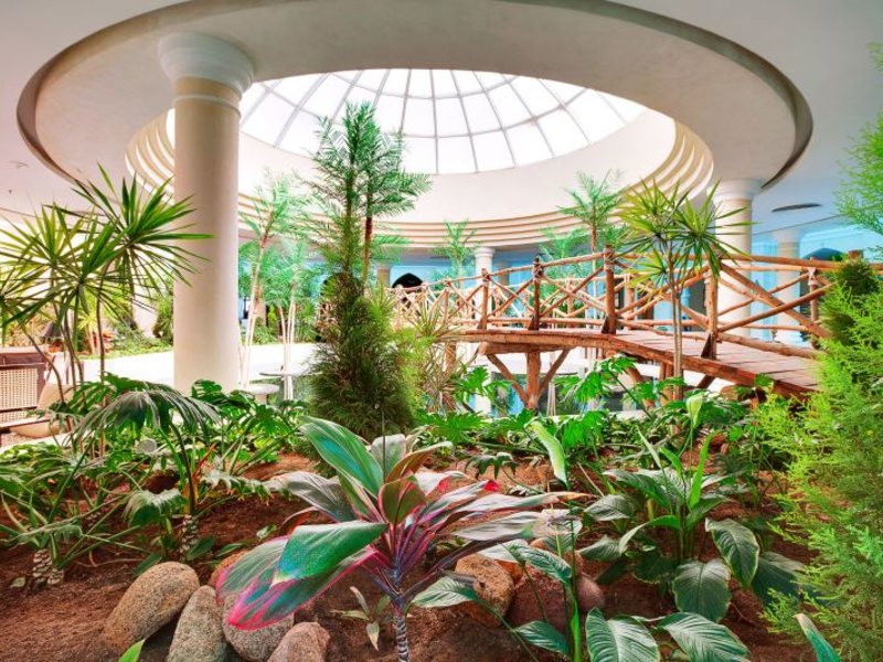 Royal Savoy Club 127676