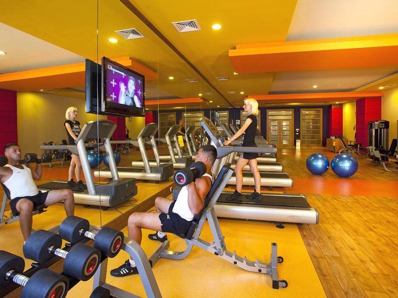 Royal Seginus 177321