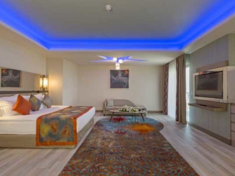 Royal Seginus 296206