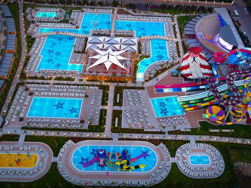 Royal Seginus 296207