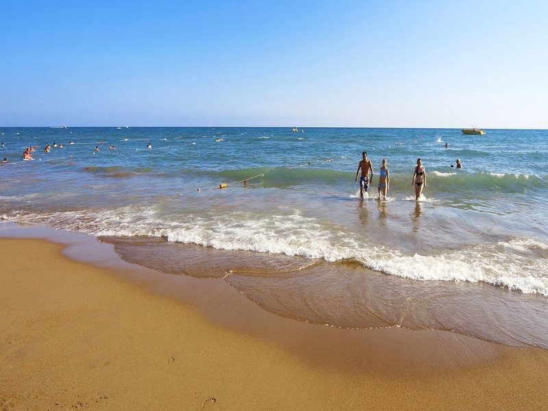 Royal Taj Mahal 57566