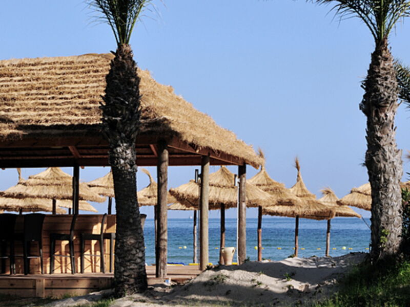 Royal Thalassa 17131